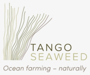 Tango Seaweed - Adobe Photoshop Essentials Course Sydney Cd #949323