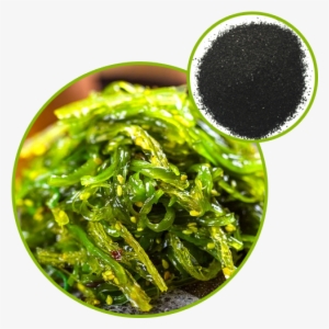 Seaweed Extract - Seaweed #949442