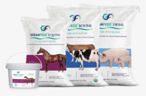 Ocean Harvest Technology Limited, Its Agents, Distributors #949490