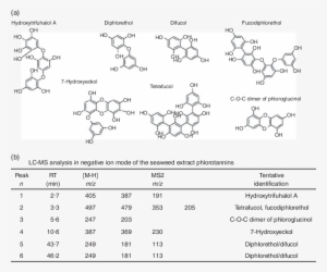 Characterisation Of Phlorotannins In The Seaweed Extract - Phlorotannin #949624