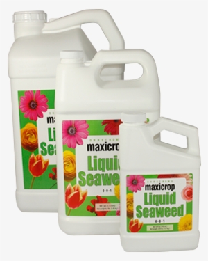 Maxicrop Liquid Seaweed 1 Gal - Maxicrop Liquid Seaweed, 0-0-1 - 2.5 Gal Jug #949679