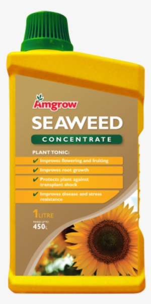 60222 Seaweed Conc 1l - Seaweed #949749