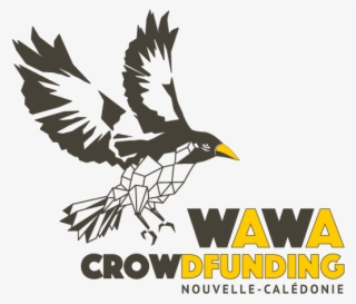 Wawa - Old World Flycatcher #9401507