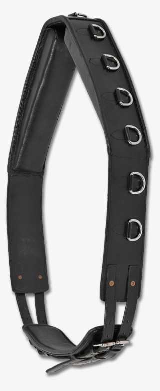 Surcingle #9402836 Surcingle #9402836