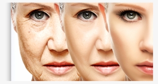 Face - Anti Aging #9405416
