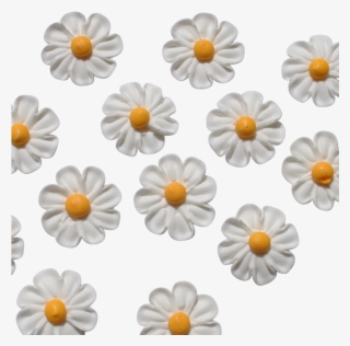 5" Royal Icing Classic Daisy - Chrysanths #9405690