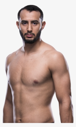 Biography - Barechested #9405977