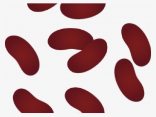 Bean Clipart Kidney Bean - Circle #9407218