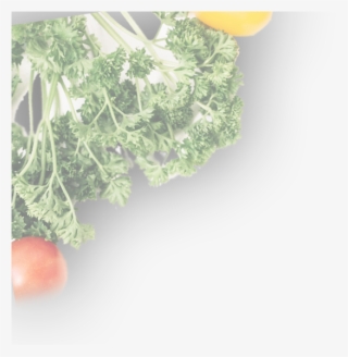 Italian Food In Commack,best Italian Food In Commack,fresh - Plum Tomato #9407298