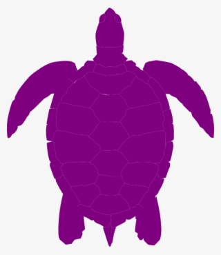 Sea Turtle Silhouette Vector #9407470