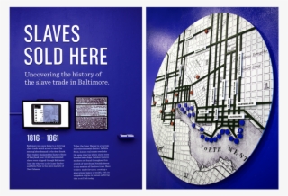 Baverp Thesis 02 - Graphic Design #9408158