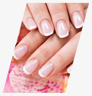 Nails - French Manicure #9408163