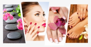 Copyright © Elite Nails - Manicure #9408205