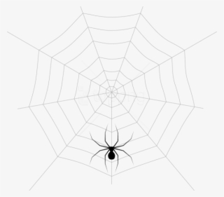 Free Png Web And Spider Png Images Transparent - Spider Web #9409208
