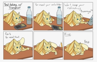 Trianglecat Comic 6 - Taking A Test Comic #9411637