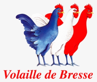 Red White Blue Volaille De Bresse Vive La - Civb #9411846