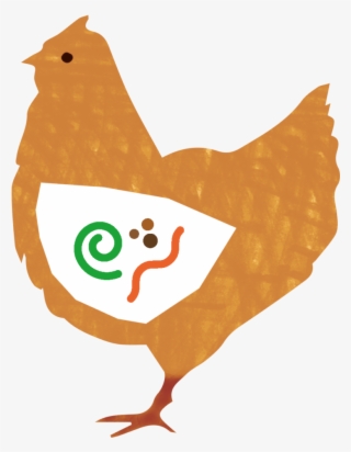 Chicken-feed - Rooster #9411894