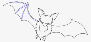 How To Draw - Draw A Bat Wing #9413267