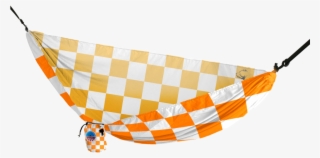 Insect #9414066