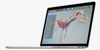 Ea On Macbook Pro E1488823025529 - Skull #9415372