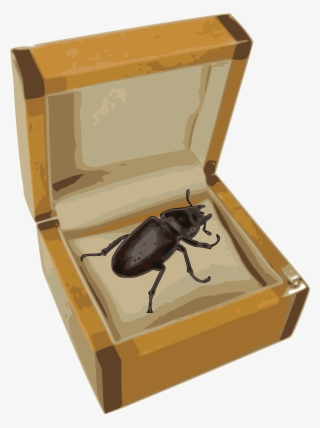 This Free Icons Png Design Of Beetle In A Box #9415716