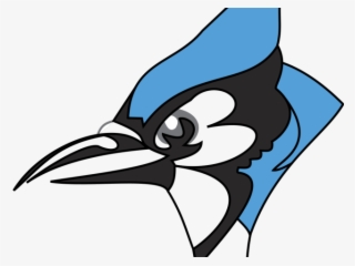 Blue Jay Clipart Johns Hopkins - Middlesex High School Blue Jays #9418134