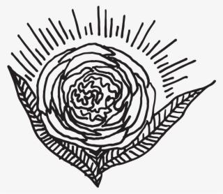 Donna And Marcos' Boho Backyard Wedding Whimsical Key - Garden Roses #9419492