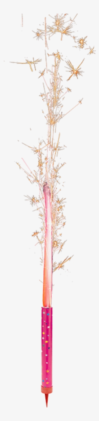 Vela Estrela Rosa - Pond Pine #9420159