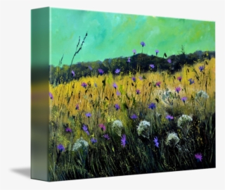 650 X 549 5 - Fernleaf Lavender #9422314