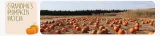 After Strolling Through The Pumpkin Patch At Grandma's - Pumpkin #9422569