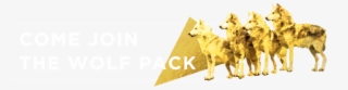 Wolf Pack Png #9423284