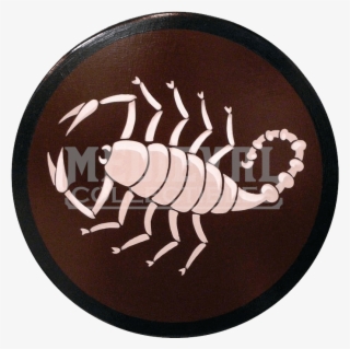 Scorpion #9426286