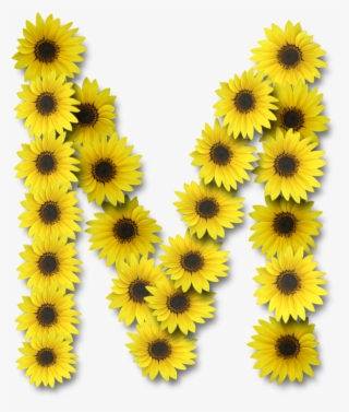 Alfabeto Sunflowers - Letra M De Girasoles #9426288