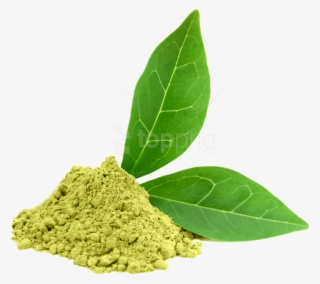 Free Png Download Green Tea Png Images Background Png - Greentea Extract #9429880