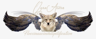 Coyote #9430766