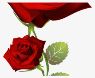 Drawn Red Rose Guldasta - Good Morning Happy Tuesday With Roses #9431778