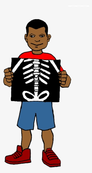 Xray Clipart - X Ray Clipart Png #9432709
