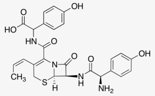 Lady Era Viagra 6800mg - Diacetyl Chitobiose #9434087