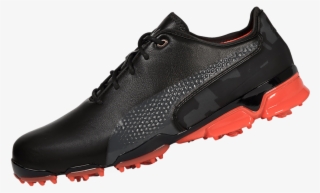 Ignite Proadapt Camo - Running Shoe #9434460