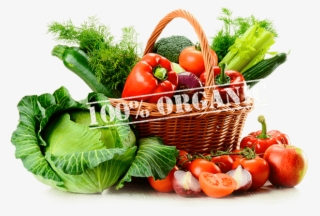 Finest Natural Foods - Intr Un Corp Sanatos Minte Sanatoasa #9434575