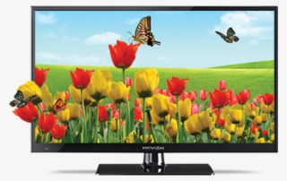 My View 24″ Led Tv #9436639