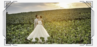 Wedding Day Photography Timeline Tips, Myths And F - Photograph #9436992