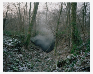 Maxime Brygo / Pavillons Et Totems - Old-growth Forest #9438323