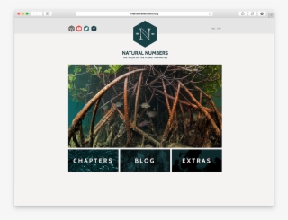 The Natural Numbers - Tree #9438397