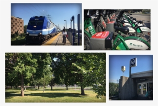 Train Metro Velo Aldea Ahuntsic - Tree #9439074