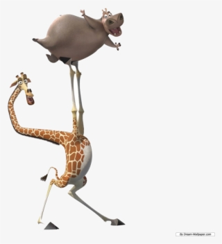 Reu It Alfabetului Transparent Swa0049634 Wallpaper - Melman I Gloria #9440361