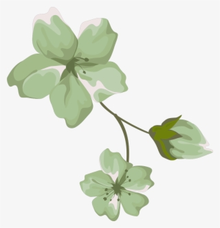 #daisy #blast #bloom #flower #border #flowers #white #9441239 #daisy #blast #bloom #flower #border #flowers #white #9441239