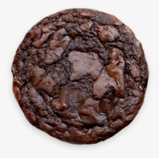 Bronze Dragon Egg Dnd #9442046