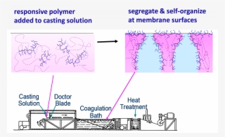 Non Solvent Induced Phase Separation Nips #9442214