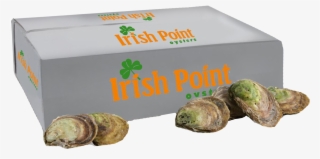 Irish Point Oysters Crassostrea Virginica - Irish Point Oysters #9442683